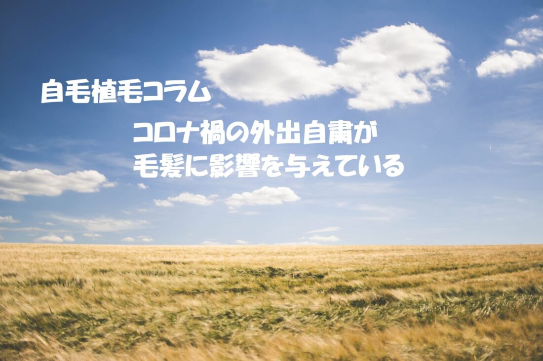 自毛植毛コラム　コロナ禍の外出自粛が毛髪に与える影響　　イメージ